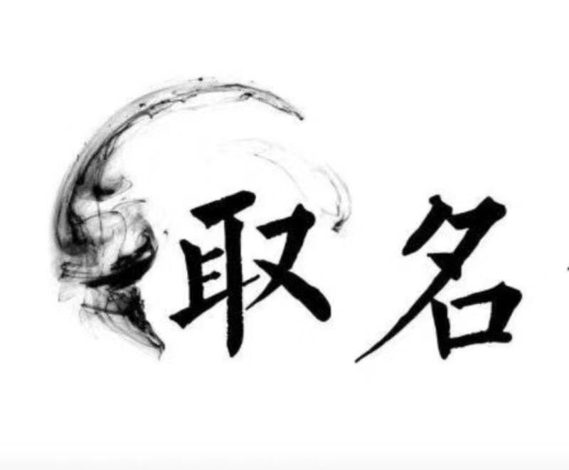  安陆宝宝取名 大师一对一人工起名
